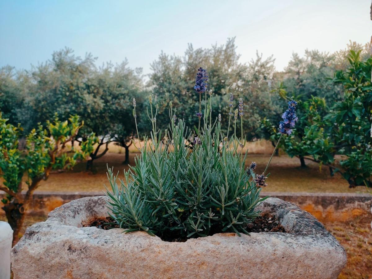 Veramare Medolino Esterno foto
