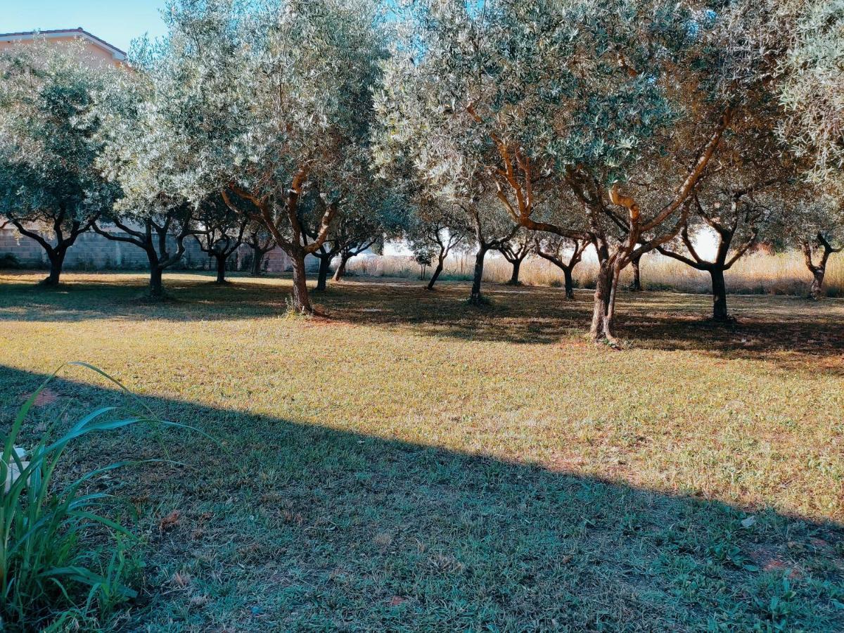 Veramare Medolino Esterno foto